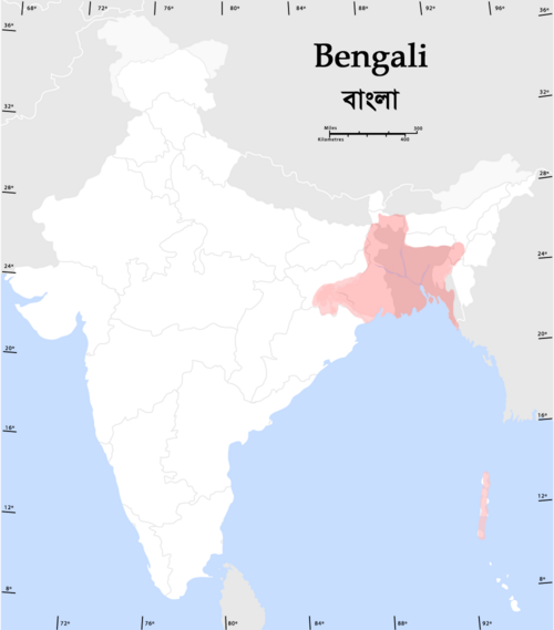 Bengal tili