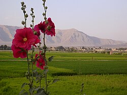 Skyline of Lenjan okrugi