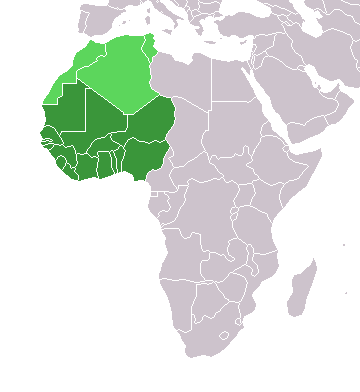Gʻarbiy Afrika